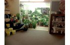 Plant Room - REAL ESTATE AUCTION, Crossroads Flowers